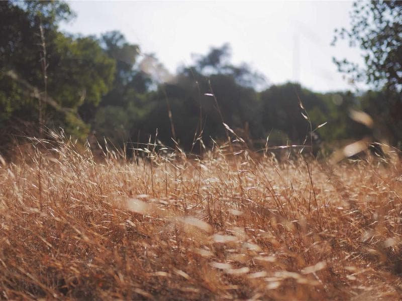 어르신 식사 보조 활동
